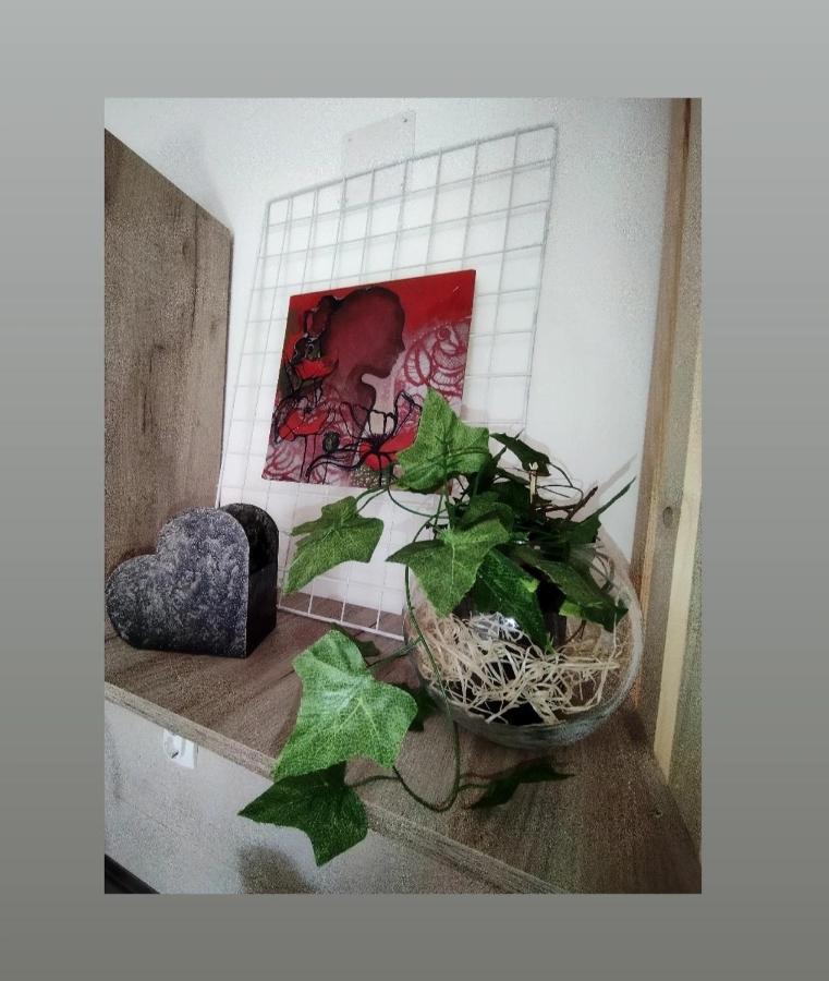 Apartmani S - Dsn Kraljevo Ngoại thất bức ảnh
